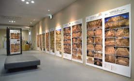 「すなびの砂像をふりかえる2006-2025」写真パネル展の画像